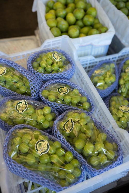 价格击穿电商,在上海的这个市场,进口水果尖货也能买到 白菜价